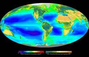 Image of Earth with topological markings